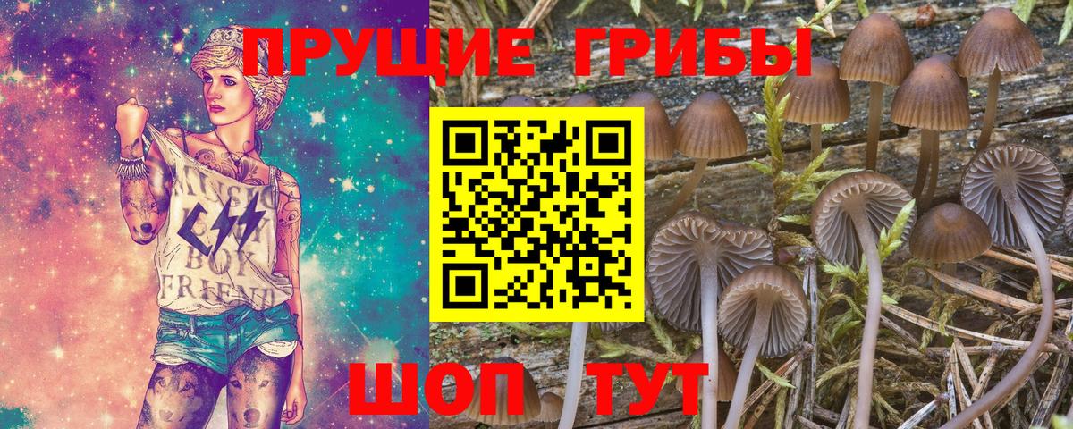 Псилоцибиновые грибы мицелий  Вход с VPN  Лангепас 